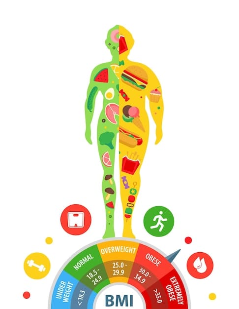 A visual representation of nutrient pathways in the human body, with arrows indicating absorption, metabolism, and excretion, highlighting where different multivitamin forms might be processed differently.