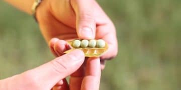 How to Choose the Right Probiotic: 2025 US Guide - Cover Image