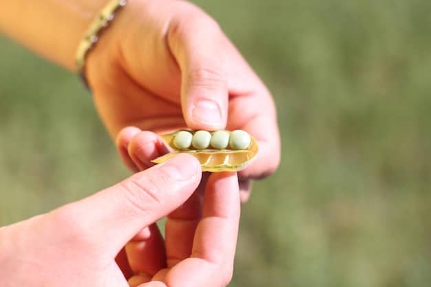 How to Choose the Right Probiotic: 2025 US Guide