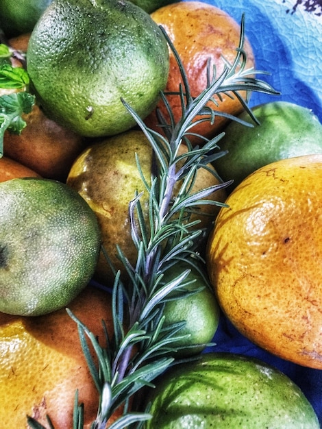 A close-up shot of a variety of colorful fresh fruits and vegetables arranged artfully, emphasizing natural, whole foods. Includes berries, leafy greens, citrus, and cruciferous vegetables.