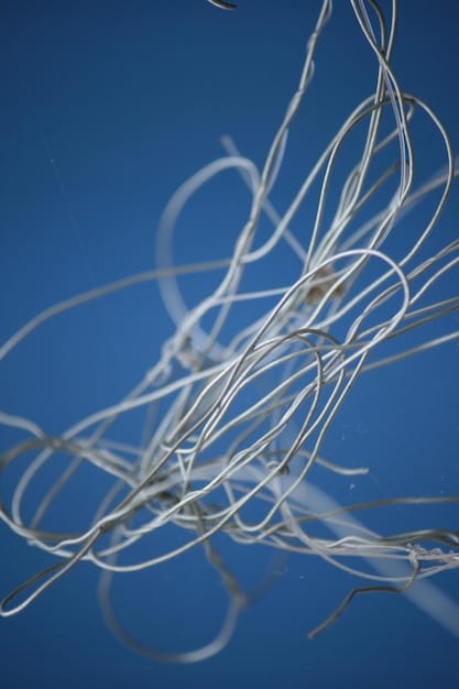 A split image showing on one side a complex, tightly wound network of wires and algorithms, contrasted on the other side with vibrant, sprouting digital plants and open pathways, symbolizing the potential for stifled versus unleashed innovation in tech.