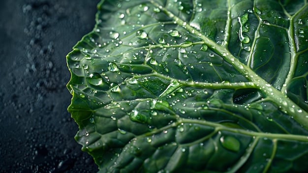 A close-up shot of vibrant, fresh kale leaves being rinsed under cool water, with droplets clinging to the intricate textures of the leaves, suggesting freshness and natural goodness.